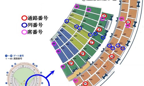 宝宝刚出生黑黑的是什么原因-刚出生的黑婴儿图片高清专区_天津格林国际幼儿园学费专区_刚出生的黑婴儿图片网